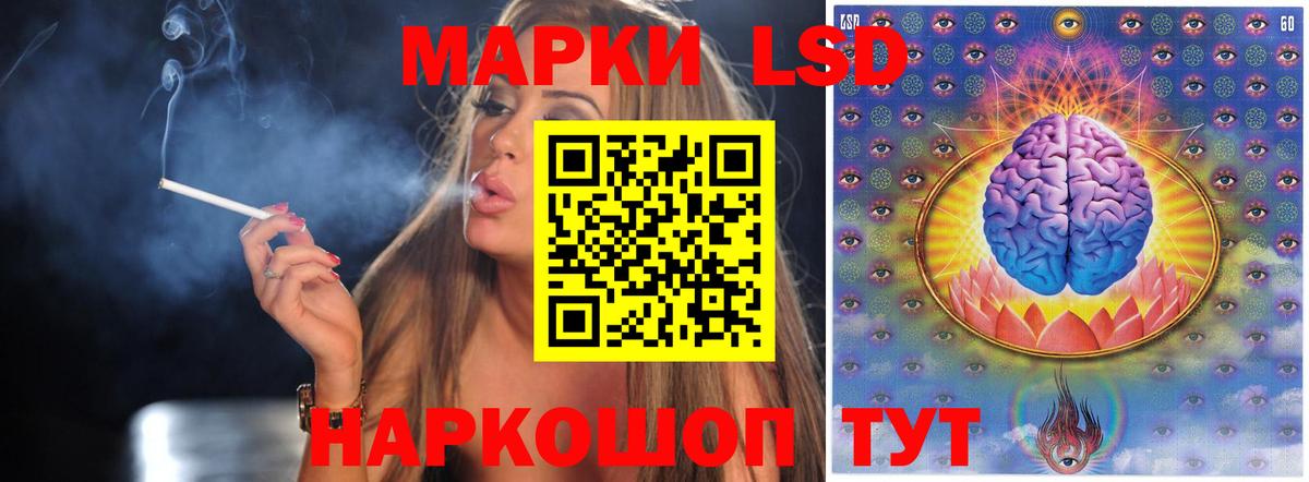 Курчалой  Лсд 25 экстази  ЛСД экстази ecstasy  Вход с VPN  Лсд 25 экстази кислота 