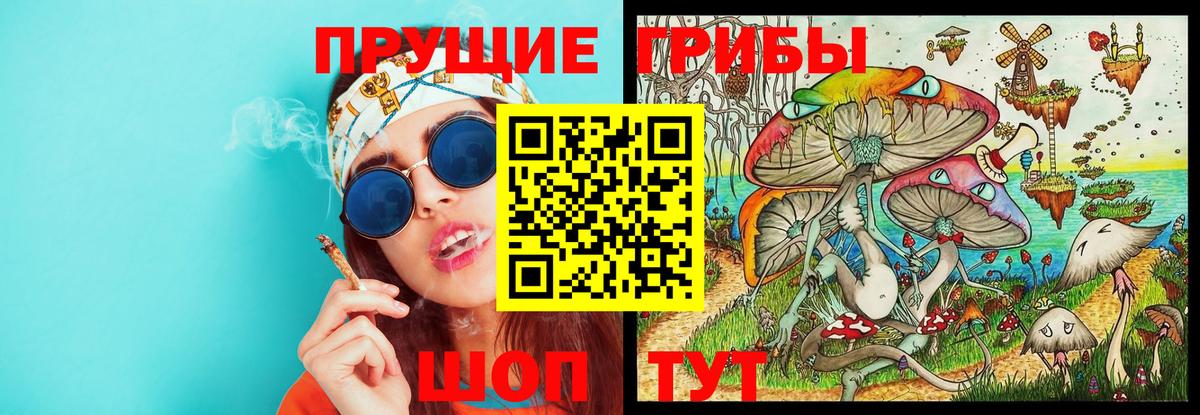 Курчалой  Галлюциногенные грибы MAGIC MUSHROOMS  Вход с VPN  Псилоцибиновые грибы прущие грибы 