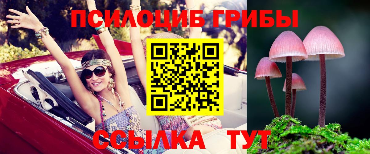 Псилоцибиновые грибы мицелий Курчалой